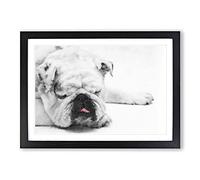 White British Bulldog Vol.2 Painting Framed Print | A2 Black Framed Wall Art | Ready to Hang | Modern Flag Picture | Living Room Bedroom Lounge Office