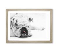 White British Bulldog Vol.2 Painting Framed Print | A2 Oak Framed Wall Art | Ready to Hang | Modern Flag Picture | Living Room Bedroom Lounge Office