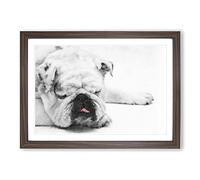 White British Bulldog Vol.2 Painting Framed Print | A2 Walnut Framed Wall Art | Ready to Hang | Modern Flag Picture | Living Room Bedroom Lounge Office