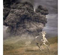 White Buffalo - Year of the Dark Horse (2022) LP Vinyl Pre-order