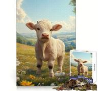 White Bull Calf in Meadow Adult Jigsaw Puzzle1000 Pieces Intellect Skill Peaceful Fun Ideal Fit Perfect Present (50x75cm)