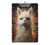 White Camel Clipboard 8.5×12.5 Inch Acrylic Clip Board with Metal Clip A4 Letter Size Decorative Clipboard Cute Hanging Clipboards for Office, Teacher, Nurse, Doctor,