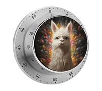 White Camel Kitchen Timers for Cooking 60 Minute Wind Up Timer, Magnetic Back, Visual Mechanical Timer with Loud Alarm, Manual Countdown Timers for Classroom Home Gym Tanning