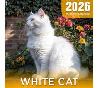 White Cat 2026 Calendar: Snow-hued felines in peaceful domestic scenes