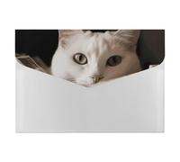 White Cat and Pile of Dollars File Folder 6-Pocket, Waterproof Accordion File Organizer with Snap Closure, Expanding Document Holder for Office, Home