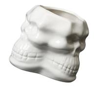 White Ceramic Skull Succulent Plant Pot for Desk and Office Decoration