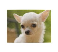 White Chihuahua Dog Face,500 Pieces Puzzles for Adults-Wooden Jigsaw Puzzle for Adults Elderly