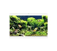 White Ciano Aqua 60 LED Tropical Glass Aquarium - Includes Filter, Lights & Heater 58L