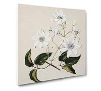 White Clematis Flowers by Sarah Featon Vintage Canvas Wall Art Print Ready to Hang, Framed Picture for Living Room Bedroom Home Office Décor, 20x20 Inch (50x50 cm)