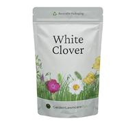 White Clover Flower Seeds for Lawns and Gardens - Wild White Clover - Garden Lawncare Guy