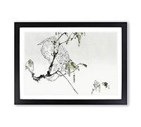 White Cockatoo by Watanabe Seitei Framed Print | A2 Black Framed Wall Art | Ready to Hang | Modern Nature Picture | Living Room Bedroom Lounge Office