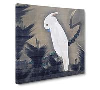 White Cockatoo on a Pine Branch by Ito Jakuchu Canvas Print | Gallery Wrapped 30mm Frame Wall Art | 20x20 inches | Ready to Hang | Modern Picture | Living Room Bedroom Lounge Office