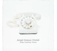 White Courtesy Phone