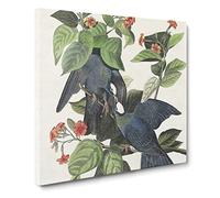 White crowned Pigeons Bird by John James Audubon Vintage Canvas Wall Art Print Ready to Hang, Framed Picture for Living Room Bedroom Home Office Décor, 14x14 Inch (35x35 cm)