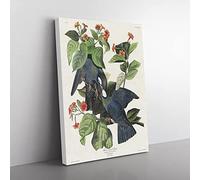 White Crowned Pigeons By John James Audubon Vintage Canvas Wall Art Print Ready to Hang, Framed Picture for Living Room Bedroom Home Office Décor, 76x50 cm (30x20 Inch)
