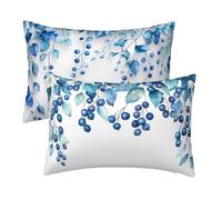 White Cushion Covers 70 x 90 cm, Rectangle Cushion Covers Set of 2, Decorative Pillow cases Blue Rattan Pattern, Velvet Soft Pillowcases for Bedroom Livingroom Home Decor, Double Sided Printing E-86