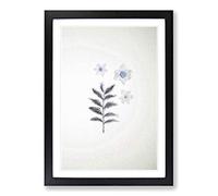 White Daffodil Dismantled Framed Print | A2 Black Framed Wall Art | Ready to Hang | Modern Nature Picture | Living Room Bedroom Lounge Office