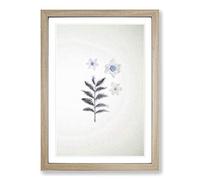 White Daffodil Dismantled Framed Print | A2 Oak Framed Wall Art | Ready to Hang | Modern Nature Picture | Living Room Bedroom Lounge Office