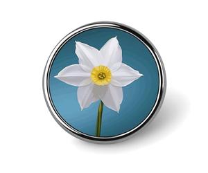 White Daffodil Round Badge 25mm/1 Inch Metal Buttons Round Badge Pin Button Parts Classic Pin Holders Buttons for Shirts Clothes Individualistic Brooch