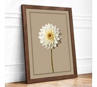 White Dahlia Study Botanical Framed Wall Art Print A4 Walnut | Ready to Hang, Premium Gi Paper, Fade-Resistant Inks, Securely Packaged, UK Made