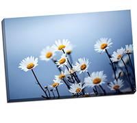 White Daisies On Sky Blue Background Canvas Print Picture Wall Art Large 30x20 Inches (76.2cm x 50.8cm)