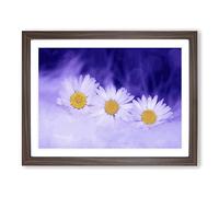 White Daisy Flower No.5 Modern Framed Print | A2 Walnut Framed Wall Art | Ready to Hang | Modern Floral Picture | Living Room Bedroom Lounge Office