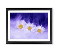 White Daisy Flower No.5 Modern Framed Wall Art Print, Ready to Hang Picture for Living Room Bedroom Home Office Décor, Black A2 (64 x 46 cm)