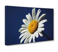 White Daisy Flower No.7 Canvas Print | Gallery Wrapped 30mm Frame Wall Art | 30x20 inches | Ready to Hang | Modern Floral Picture | Living Room Bedroom Lounge Office