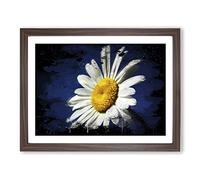 White Daisy Flower No.7 Modern CB Framed Print | A2 Walnut Framed Wall Art | Ready to Hang | Modern Floral Picture | Living Room Bedroom Lounge Office