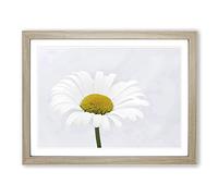 White Daisy Flower No.9 Modern Framed Print | A3 Oak Framed Wall Art | Ready to Hang | Modern Floral Picture | Living Room Bedroom Lounge Office