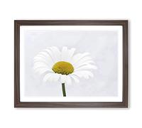 White Daisy Flower No.9 Modern Framed Print | A4 Walnut Framed Wall Art | Ready to Hang | Modern Floral Picture | Living Room Bedroom Lounge Office
