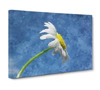 White Daisy Flower Painting Modern Art Canvas Wall Art Print Ready to Hang, Framed Picture for Living Room Bedroom Home Office Décor, 20x14 Inch (50x35 cm)
