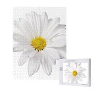 White Daisy Flower With Bright Yellow Heart,500 Pieces Wooden Jigsaw Family Game Jigsaw Puzzles for Adults Teens
