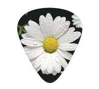 White Daisy High-Quality, Wear-Resistant And Tough Guitar Picks Give You A Different Musical Experience