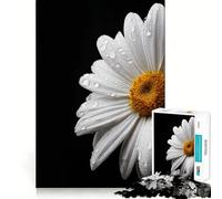 White Daisy with Water Droplets on Black Jigsaw 1000 Piece Mind Skill Play Stable Fit No Shifting Parts Enjoyable Pastime for Long Weekends (38x26cm)
