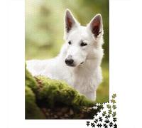 White Dog in Forest 1000 Pieces Precise Interlocking Nature Wildlife Photography Jigsaw for Teens Digital Detox Frameable Puzzle Stay at Home Fun 52x38cm/1000pcs