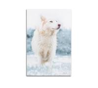 White Dog in Snowy Field Wall Art, Gentle Decor, Home Poster Artistic Wall Mural Modern Hanging Decor Poster12x18inch(30x45cm)