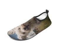White Dog in The Field Water Shoes for Men Women, Lightweight Stretch Swim Shoes with Anti-Slip Rubber Sole, Quick-Dry Aqua Socks for Pool, Beach, Surfing, Style, 12 Women/12 Men