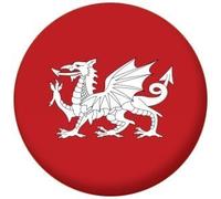 White Dragon England Flag Badge, Magnet, Keyring, Mirror, Bottle Opener