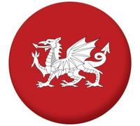 White Dragon England Flag Badge, Magnet, Keyring, Mirror, Bottle Opener
