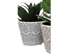 White Dutch Pot with Black Baroque Geometric Pattern, Dutch Plant Pot, Succulent Planter Delphi, Ceramic Crackle Glaze House Plant Pot