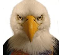 White Eagle Mask - Realistic Latex Eagle Head, Closed/Open Mouth, Party Prop Mask