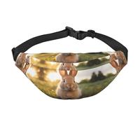 white-eared rabbit Large Fashion Crossbody Waist Bag, Travel Casual Boys Waist Bag, Suitable for Sports, Running, Cycling, Traveling, Fishing