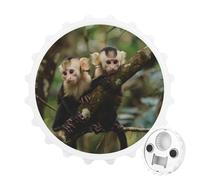 White Faced Capuchin Monkeys Round Fridge Magnet Bottle Opener Refrigerator Whiteboard Magnetic Decor