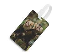 White Faced Capuchin Monkeys Travel Luggage Tags for Suitcases Baggage Handbag Label