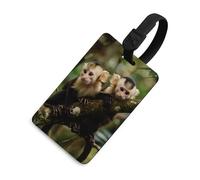 White Faced Capuchin Monkeys Travel Luggage Tags for Suitcases Baggage Handbag Label