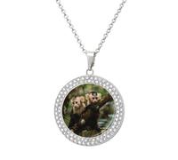 White Faced Capuchin Monkeys Women's Necklaces Round Long Alloy Pendant Necklace Minimalist Tiny Jewelry Gift Silver-style