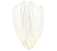 White Feathers,Natural Big Long Goose Feather,8-10 inches (20-25cm),Large Size Bilateral Feathers,Left and Right Wings for Crafts,Bulk 12pcs (Natural White)