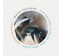 White Feathers: The Nesting Lives of Tree Swallows