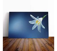 White Flower Canvas Print | Gallery Wrapped 30mm Frame Wall Art | 20x14 inches | Ready to Hang | Modern Floral Picture | Living Room Bedroom Lounge Office